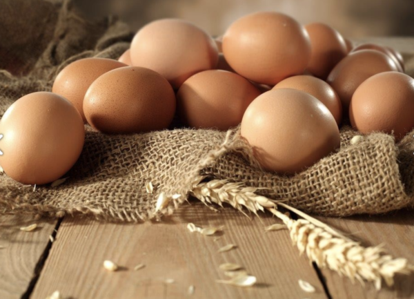 Free Range Freshly Laid Eggs