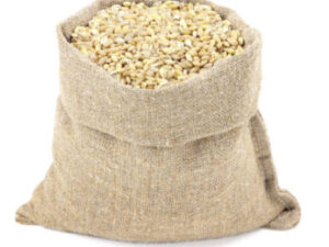 barley-grain