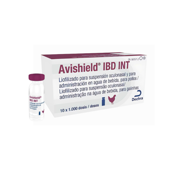 Avishield IBD INT 1000D1