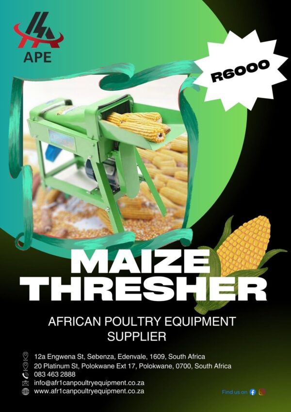 Maize Thresher - Image 2