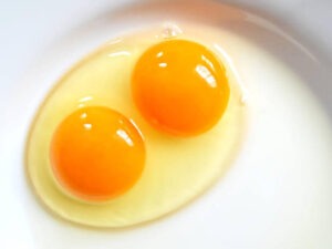 Double Yolk Eggs